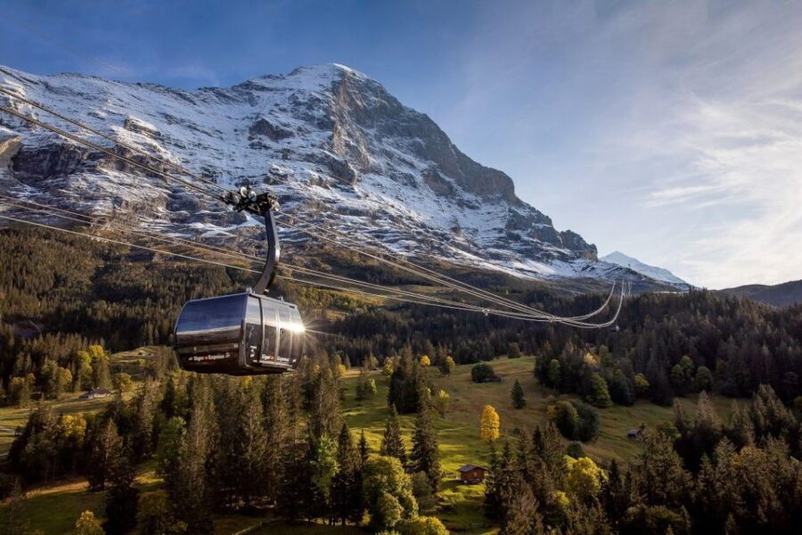 From Interlaken: Day Trip to Jungfraujoch by Bus and Train - Who Is This Tour Best For?