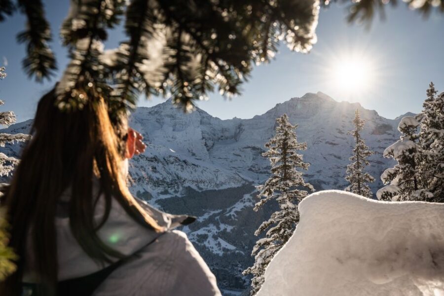From Interlaken: Guided Snowshoe Tour - Exploring the Swiss Alps on Snowshoes: An Authentic Winter Experience