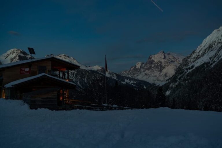 From Interlaken: Night Sledding with Cheese Fondue Dinner - What To Know Before You Go
