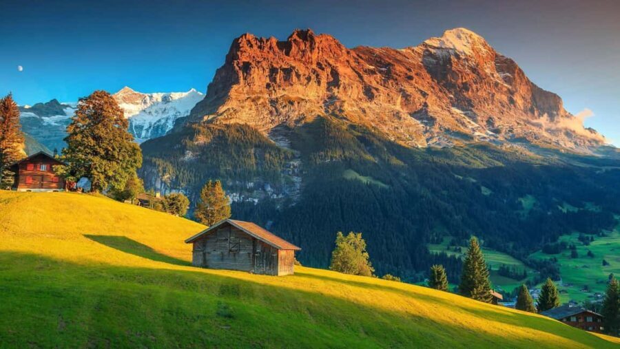 From Interlaken: Swiss Alps and Hidden Gems Private Day Tour - Practical Details and Value