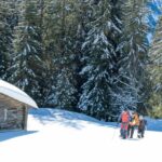 From Interlaken: Wetterhorn Trail Snowshoe Hiking Tour - Why Choose the Wetterhorn Snowshoe Tour?
