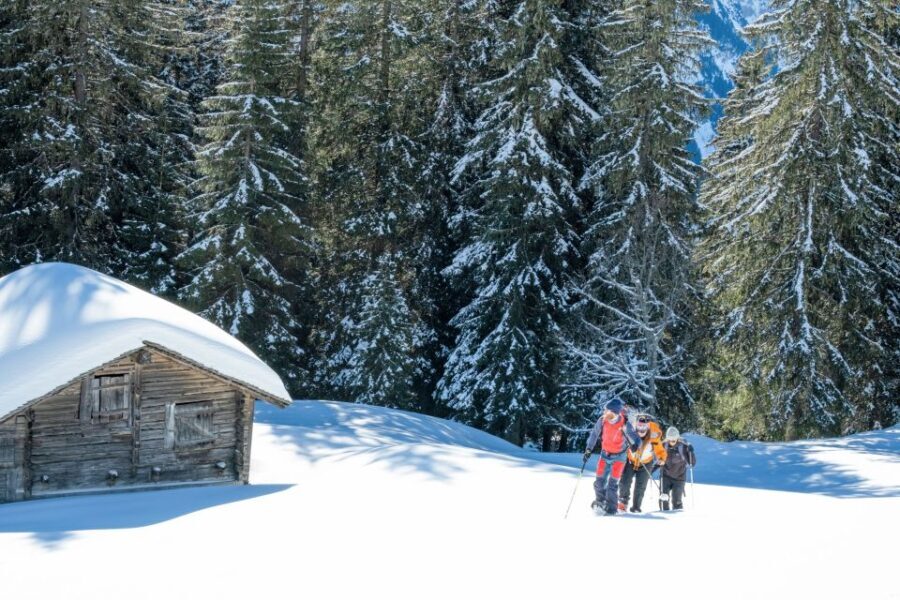 From Interlaken: Wetterhorn Trail Snowshoe Hiking Tour - Why Choose the Wetterhorn Snowshoe Tour?