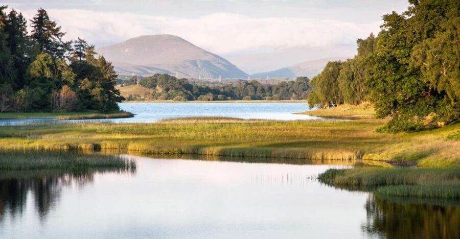 From Inverness: Cairngorms National Park and Whisky Tour - Carrbridge Village and Old Packhorse Bridge