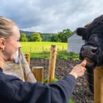 From Inverness: Cawdor Castle, Clava Cairns & The Cairngorms - What’s Included and What’s Not