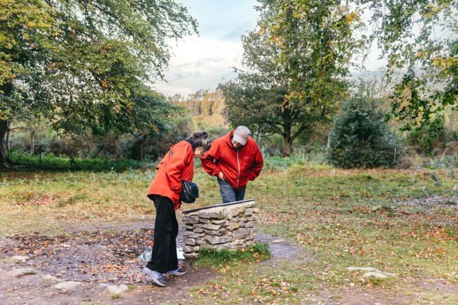 From Inverness: Glen Affric, Culloden, and Clava Cairns Tour