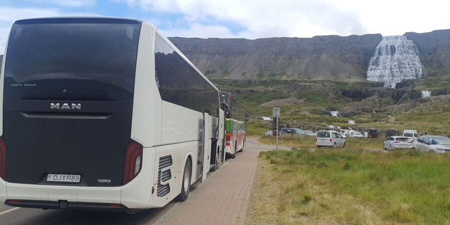 From Isafjordur: Dynjandi Waterfall Guided Day Trip by Bus - Who Will Love This Tour?