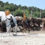 From Istanbul: Bozdag Film Plateau Day Trip with Lunch - Who Is This Tour Best Suited For?