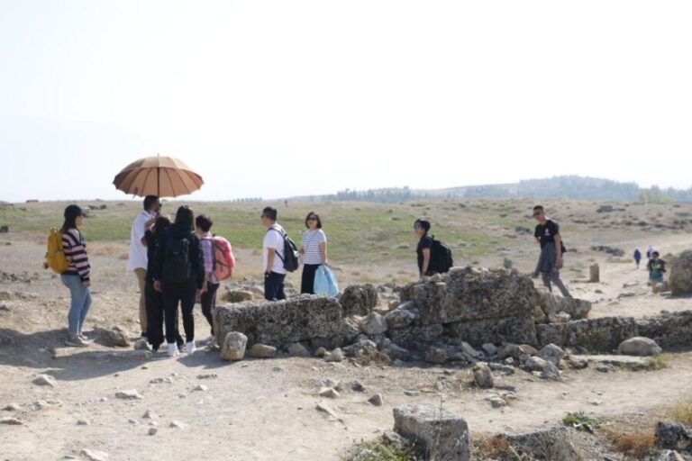 From Istanbul: Ephesus and Pamukkale 2-Day Trip - A Detailed Look at the Experience