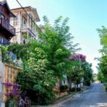 From Istanbul: Full-Day Princes Island Tour with Lunch - Who Will Love This Tour?