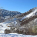From Istanbul: Private Day Trip to Sapanca Lake and Maukiye - Analyzing the Value