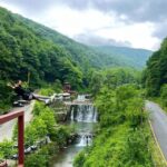 From Istanbul: Sapanca & Maukiye Full-Day Tour with Lunch - The Authentic Experience: What Travelers Say