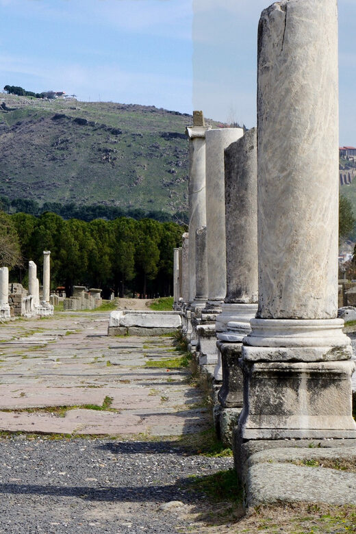 From Izmir: Private Day Trip to Acropolis of Pergamon - Final Thoughts