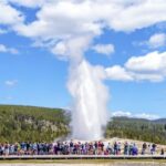 From Jackson: Yellowstone Day Tour Including Entrance Fee - What Sets This Tour Apart