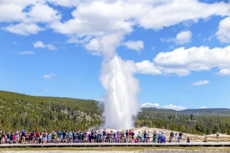 From Jackson: Yellowstone Day Tour Including Entrance Fee - What Sets This Tour Apart