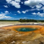 From Jackson: Yellowstone National Park Day Trip with Lunch - The Value of This Yellowstone Tour