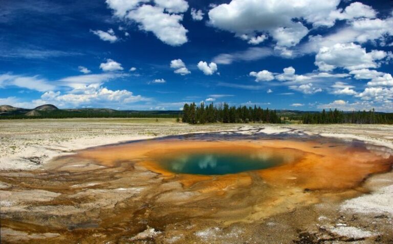 From Jackson: Yellowstone National Park Day Trip with Lunch - The Value of This Yellowstone Tour