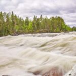 From Jokkmokk: The Great Rapids National Park - Who Should Consider This Tour?
