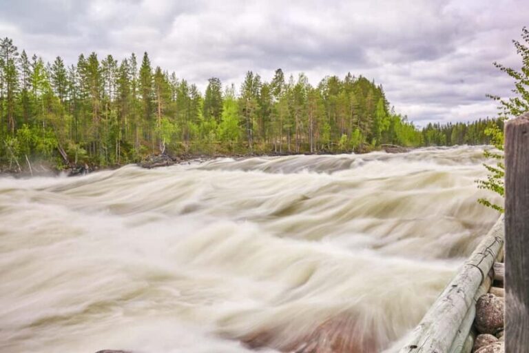 From Jokkmokk: The Great Rapids National Park - Who Should Consider This Tour?