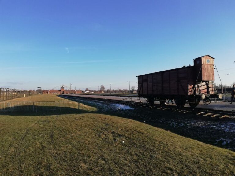 From Katowice: Auschwitz-Birkenau Skip-the-Line Guided Tour - Who Should Consider This Tour?