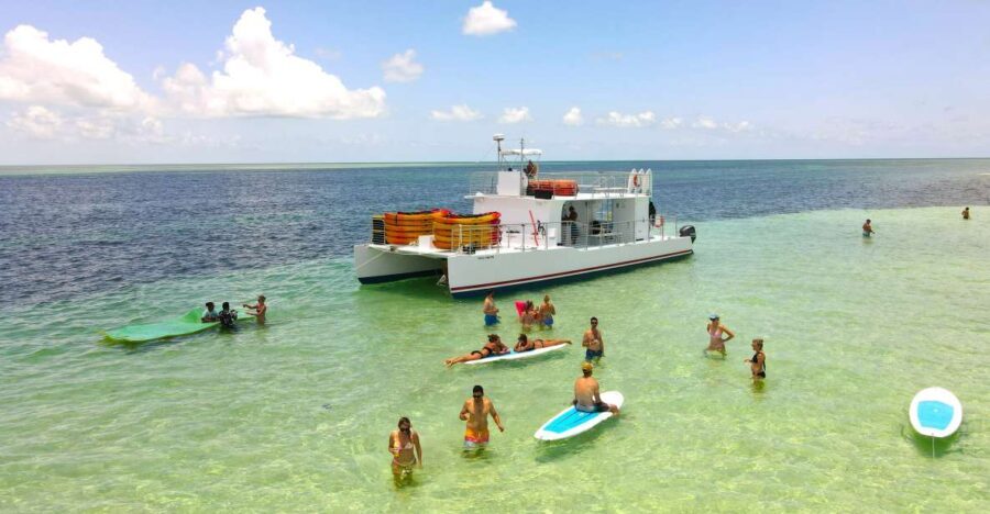 From Key West: Dolphin Watching Tour with Lunch & Drinks - Who Will Love This Tour?