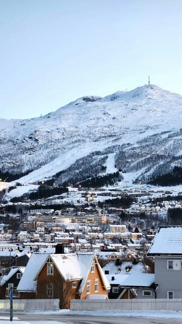 From Kiruna: Narvik City and Fjord Day Trip - The Itinerary in Detail