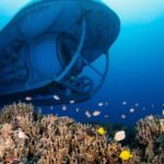 From Kona: Big Island Underwater Submarine Adventure - Final Thoughts