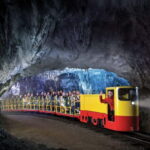 From Koper: Postojna Cave and Ljubljana Guided Tour - The Ljubljana Experience: A City of Bridges, Architecture, and Vibrant Streets