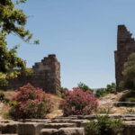 From Kos: A day ride to Bodrum with comfortable transfer - The Value of This Experience