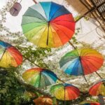 From Kos: Independent Day Trip to Bodrum - Authentic Experiences and Tips