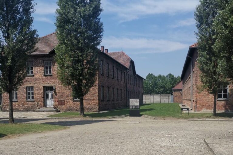 From Krakow: Auschwitz-Birkenau Camp Complex Guided Day Trip - Why This Tour Is Such a Valuable Experience