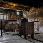 From Krakow: Auschwitz-Birkenau Full-Day Tour - An In-Depth Look at the Auschwitz-Birkenau Full-Day Tour