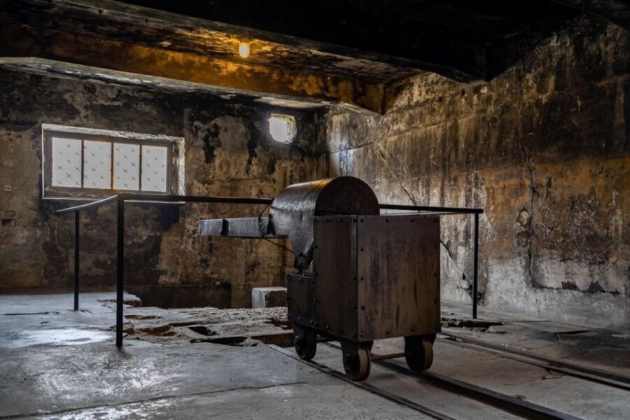 From Krakow: Auschwitz-Birkenau Full-Day Tour - An In-Depth Look at the Auschwitz-Birkenau Full-Day Tour