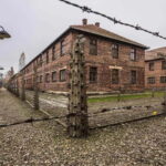 From Krakow: Auschwitz-Birkenau Guided Tour with Transfer - Who Would Benefit Most?