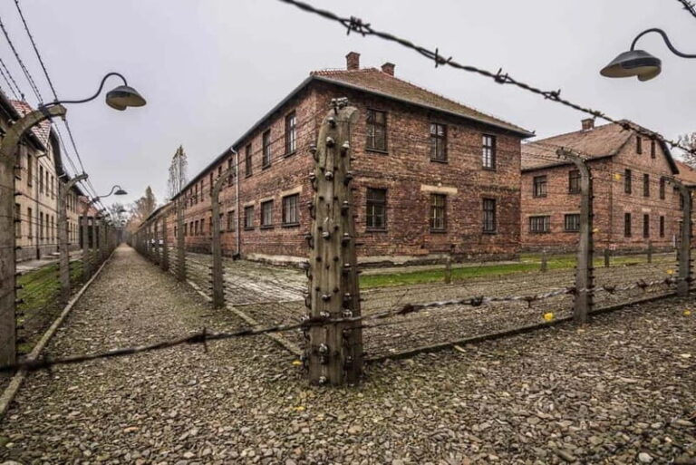 From Krakow: Auschwitz-Birkenau Guided Tour with Transfer - Who Would Benefit Most?