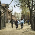 From Krakow: Auschwitz-Birkenau Memorial and Museum Tour - An In-Depth Look at the Auschwitz-Birkenau Tour from Krakow