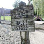 From Kraków: Auschwitz-Birkenau Memorial Guided Tour - Analyzing the Value