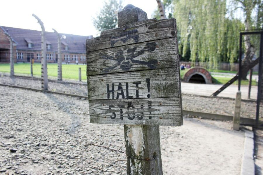 From Kraków: Auschwitz-Birkenau Memorial Guided Tour - Analyzing the Value
