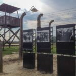From Krakow: Auschwitz-Birkenau Private or Shared Tour - The Journey Begins: From Kraków to Auschwitz-Birkenau