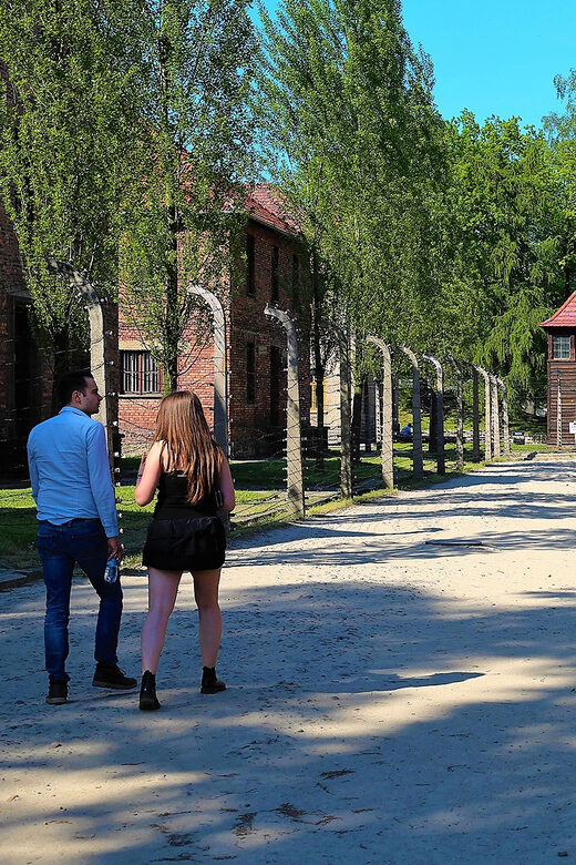 From Krakow: Auschwitz Birkenau Small Group Tour with Pickup - Who Should Consider This Tour?