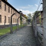 From Krakow: Auschwitz-Birkenau Tour - Final Thoughts