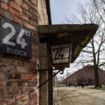 From Kraków: Auschwitz-Birkenau Tour with Lunch Box and Pick Up - Final Thoughts