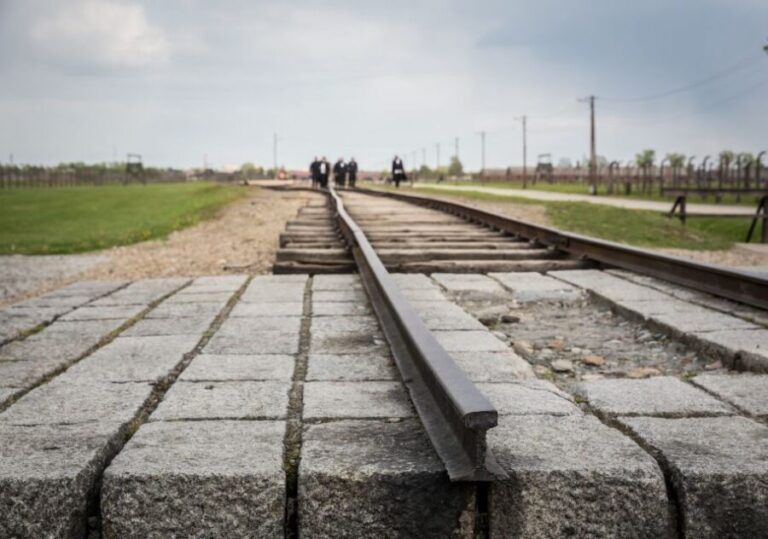 From Krakow: Auschwitz Birkenau Tour with Transfer - Practical Details and Tips