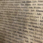 from Kraków: Auschwitz excursion with guaranteed Dutch guide - Who Will Love This Tour?