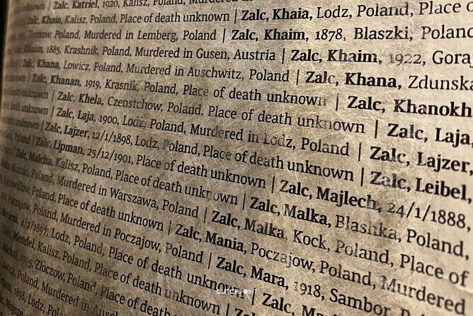 from Kraków: Auschwitz excursion with guaranteed Dutch guide - Who Will Love This Tour?
