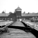 From Krakow: Auschwitz & Wieliczka Salt Mine Guided Tour - Who Is This Tour Best For?
