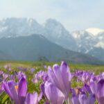 From Krakow: Full-Day Tour of Zakopane and Tatra Mountains - FAQs