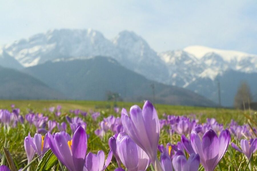 From Krakow: Full-Day Tour of Zakopane and Tatra Mountains - FAQs