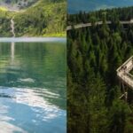 From Krakow: Morskie Oko and Slovakia Treetop Walk - A Detailed Review of the Experience