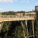 From Krakow: Morskie Oko in the Tatra Mountains and Slovakia Treetop Walk - Who is this tour best suited for?