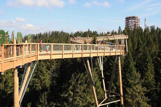 From Krakow: Morskie Oko in the Tatra Mountains and Slovakia Treetop Walk - Who is this tour best suited for?